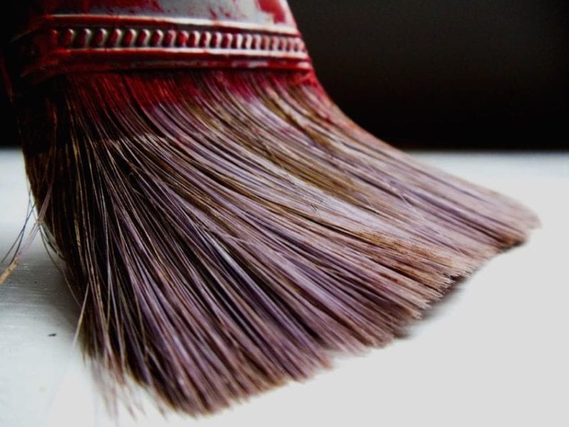 paintbrush bristles