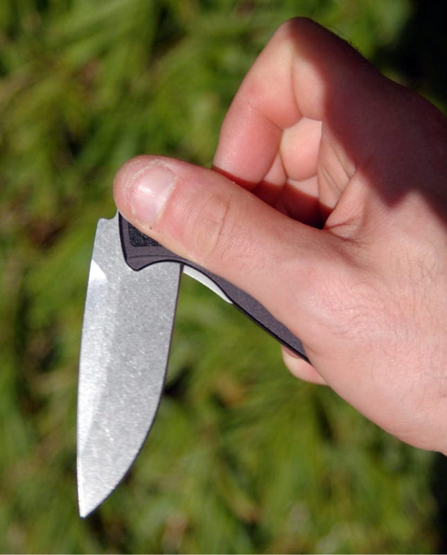 Kershaw Camber
