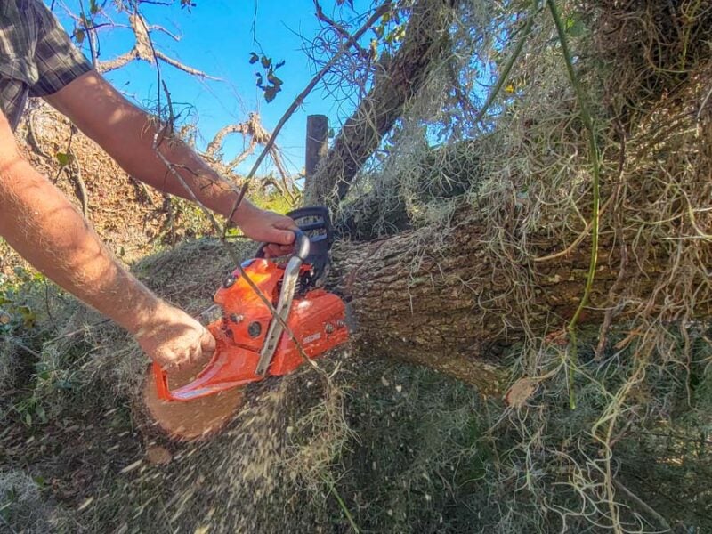 ECHO CS-501P X-Series Chainsaw Review 