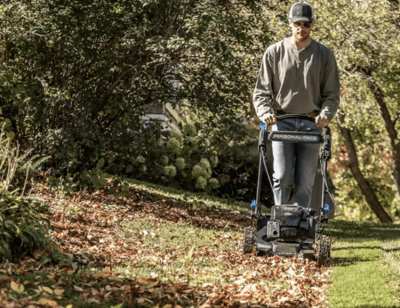 best mulching gas lawn mower

toro 21565