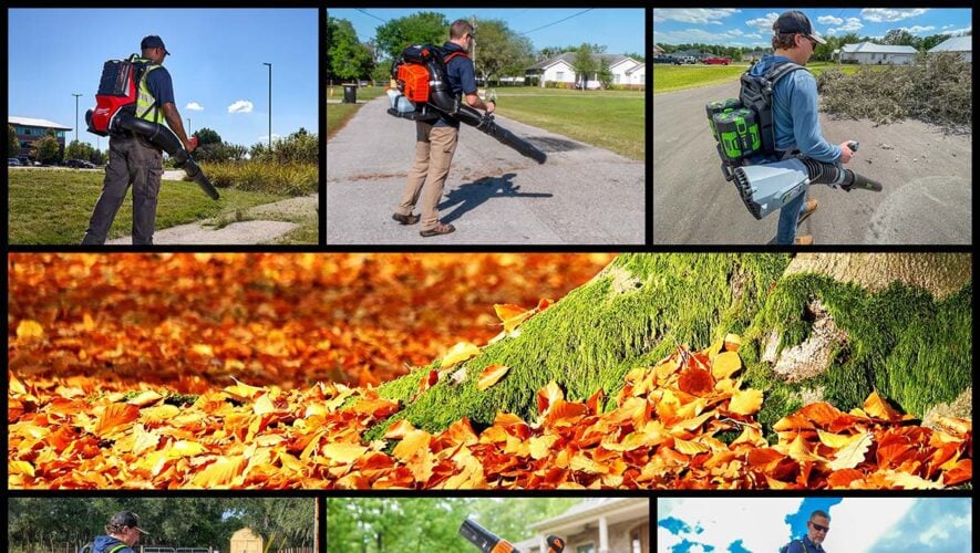 best battery backpack blower reviews