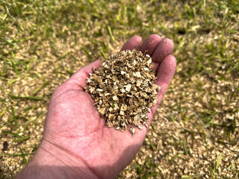 Wood Chips