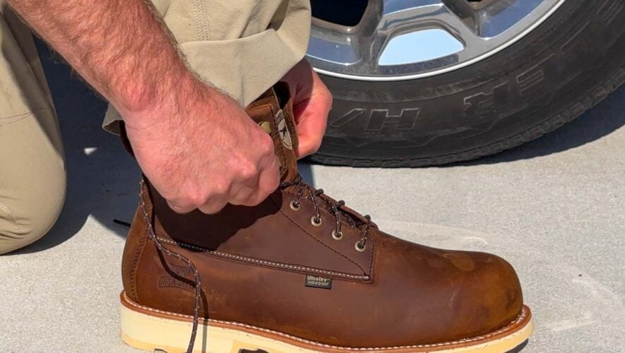 Irish Setter Wingshooter ST with a Heel