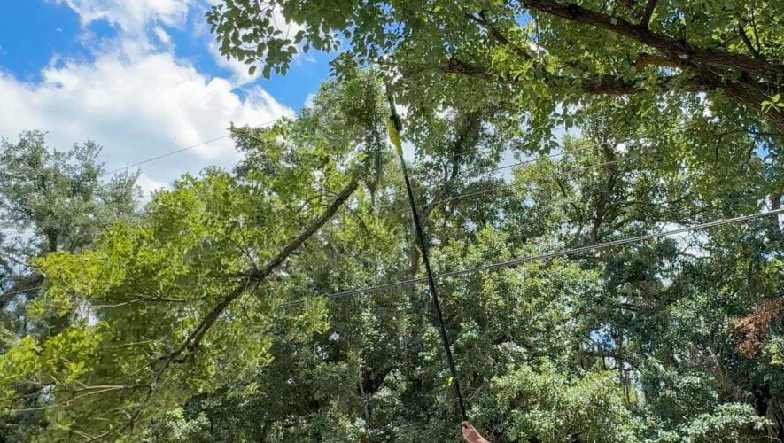 Ryobi 40V Pole Saw